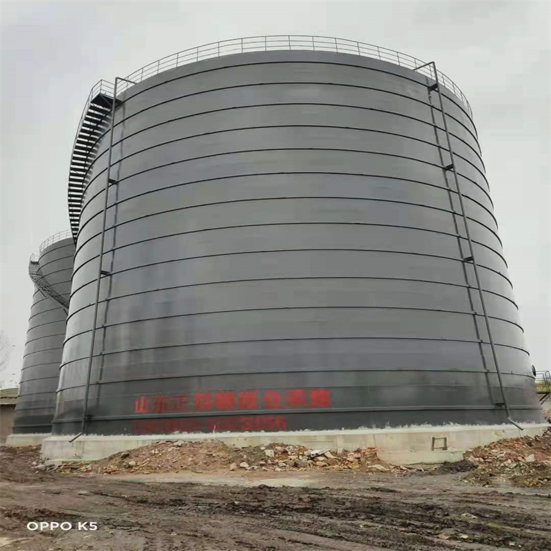 长海3万吨大型钢板库